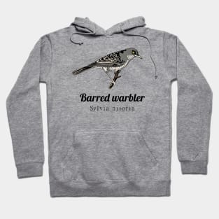 Barred Warbler Hoodie